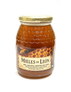 Miel de Flores 1Kg